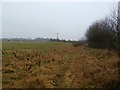 Footpath Near the Outskirts of Darfield