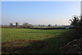 Pasture Fields near Henstridge Bowden