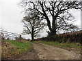 Track to Easthay Farm