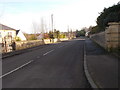 Cattle Lane - viewed from Parlington Drive