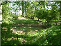 Ponds near Cox Green Road