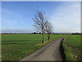 Roadway to Upper Brackendale Farm