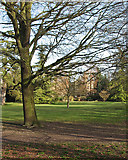 TL4856 : Cherry Hinton Hall Park in January by John Sutton