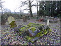 St Margaret, Ockley: churchyard (f)