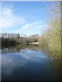 A tranquil view of Radbrook Pond