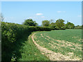 TQ0935 : Field edge footpath by Robin Webster