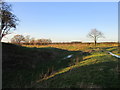 Moat at Aughton