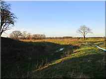 SE7038 : Moat at Aughton by Jonathan Thacker