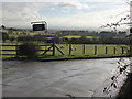 Sheep at Tadwell Farm