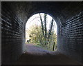 Path under the Three Arch Bridge