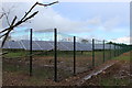 Solar panels, Pant-ysgawen