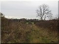 Public footpath north of West Field farm