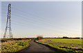 Pylon near Longhedge Lane