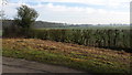 Farmland near Monks Kirby