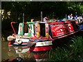 Woking - Narrowboat Gathering 2016