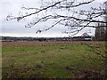 Former playing fields in Debden