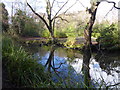 TQ4093 : Part of Buxton's Pond in Knighton Wood by Marathon