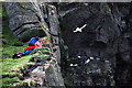 NL5482 : Birdwatching on the Mingulay cliffs by Julian Paren