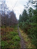 NH6067 : Single track path from Cat Hill by valenta