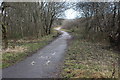 National Cycle Route 46, Parc Nant-y-Waun