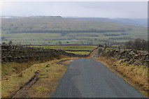 SD9592 : Country Road descending towards Askrigg by Chris Heaton