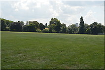TQ2576 : Hurlingham Park by N Chadwick