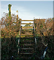 A stile the other side of a short footpath across a small field