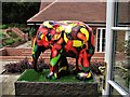 Chilli elephant at Ely Grange