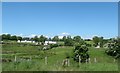 View across wetland to new bungalows on the Ballyvally Road