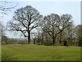 A tee, Hainault Forest Golf Club