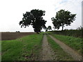 Camp Lane looking towards Camp Farm