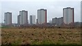 Seaton tower blocks from the Esplanade, Aberdeen