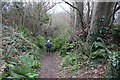 Footpath Down Hyde Hill