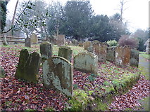 TQ5139 : St. Martin of Tours, Ashurst: churchyard (c) by Basher Eyre