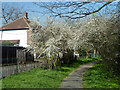 Footpath along River Wandle