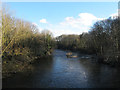 River Aire below Calverley old bridge