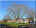 Houses on Hunters Field