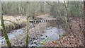 Stepping stones over Ridingmill Burn