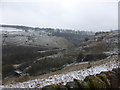 A scattering of snow