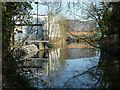 River Wandle above former mill