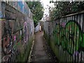 Boscombe: graffiti lines both sides of footpath F06