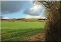 Fields at George Nympton