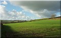 Farmland near George Nympton