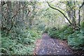 Narrow lane to Darracott