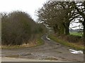 SK8436 : Sewstern Lane at Stenwith by Alan Murray-Rust