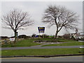 Trees and benches, Barkby Avenue, Prestatyn