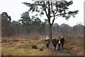 TQ0758 : Walkers, Wisley Common by Simon Mortimer