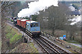 Goods train from Buckfastleigh