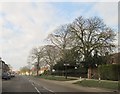 Long  Street  Easingwold