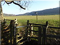 Looking out of churchyard to footpath signpost and houses 